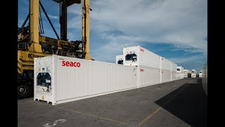 Seaco standard and high cube refrigerated containers [upl. by Leffen427]