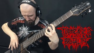 TORMENTED BRUTALITY  Bass [upl. by Udela]