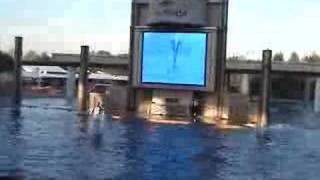 Sea World Orlando Orca Show [upl. by Ikcin535]