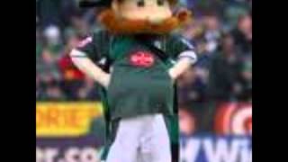 Plymouth Argyle Best Team In The World SONG [upl. by Dorsey]