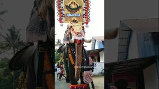 ചാലക്കുടിക്കാരൻ ചങ്ങാതി Ukkens Kunju trendingshorts elephant aanapappan aanapremam pooram [upl. by Adnot]