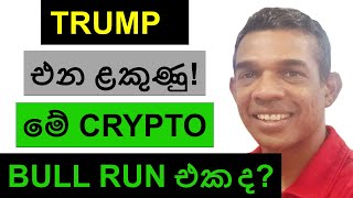 TRUMP එන ළකුණු  මේ CRYPTO BULL RUN එක ද [upl. by Myrah197]