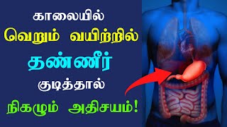 வெறும் வயிற்றில் தண்ணீர் குடியுங்கள்  Health benefits of drinking water on empty stomach Tamil [upl. by Assirehs]