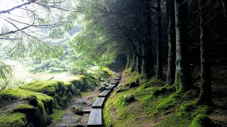 Wicklow Way 2019 Ireland May the road rise to meet you [upl. by Pansie565]