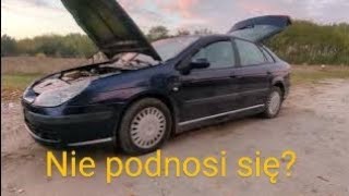 Problemy hydropneumatyki w Citroenie C5 jak szybko zdiagnozować test moich sfer Oglądaj do końca❗ [upl. by Elitnahc]