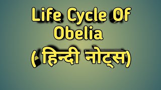 Life Cycle Of Obelia हिन्दी नोट्स। Dynamic Studies [upl. by Madelyn]