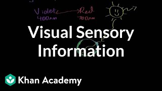 Visual sensory information  Processing the Environment  MCAT  Khan Academy [upl. by Anchie]