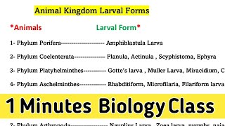 animal kingdom larval forms  animal kingdom mcq for neet 2021  larvae of different animals [upl. by Idonah]