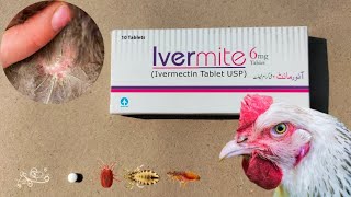 Antiparasitic for Poultry  Ivermectin for Chickens  Scaly Leg Mites Lice and Parasites Treatment [upl. by Santos]