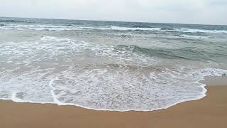 Untouched Nature’s Bounty  Super Panorama view in Aluthgama Beach [upl. by Remos]