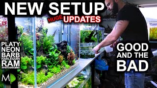 HUGE UPDATE Platy Neon Tetra Harlequin Golden Ram Barb amp Apistogramma Aquariums Fish Room Tour [upl. by Kovacev]