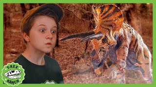 Find the Dinosaurs in the Forest  Science Experiment  TRex Ranch Dinosaur Videos for Kids [upl. by Edward]