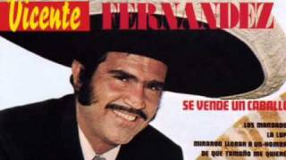 Vicente Fernandez De Que Tamaño Me Quieres [upl. by Trow]