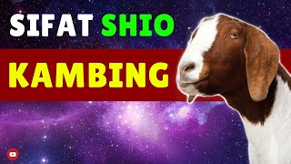 Kamu 🐐 SHIO KAMBING Tonton WATAK amp SIFAT Shio Kambing di Video ini [upl. by Sivaj938]