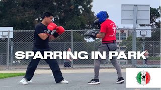 Vinny Sparring 3 Rounds after Boxing training with MCR [upl. by Steep965]