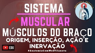 MÚSCULOS DO BRAÇO❗ORIGEM INSERÇÃO AÇÃO amp INERVAÇÃO❗QUAIS SÃO❗❓DESCUBRA AQUI❗Anatomia Prática [upl. by Anelas5]