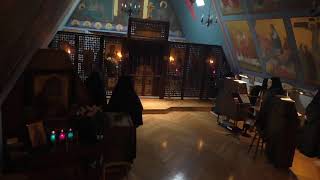 Ellwood City Chapel  Typica and Presanctified Liturgy  2nd Wednesday  Fr Steffaro [upl. by Ymirej]