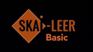 Skaileer Basic Demo  SkaiLeernl [upl. by Imogene]