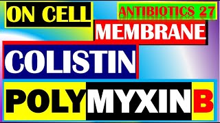 Colistin Polymyxin B Antibiotics Pharmacology Mechanisms Actions Resistance Part 27 [upl. by Iadrahs]