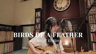 birds of a feather  billie eilish cover [upl. by Arihday869]