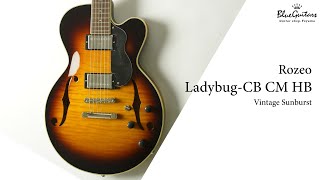 Blue Guitars  Rozeo  LadybugCB CM HB  Vintage Sunburst [upl. by Drabeck80]