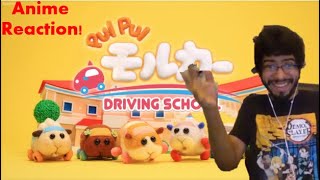 Pui Pui モルカー Molcar Driving School Episode 1 Live Reaction [upl. by Aleak]