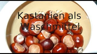 Kastanien als Waschmittel [upl. by Demitria990]