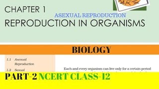 Part2 REPRODUCTION IN ORGANISMS chapter1 NCERT class 12th biology [upl. by Yssenhguahs]