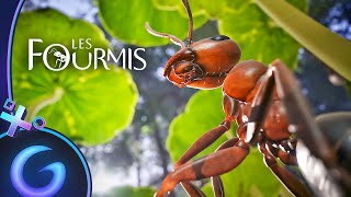 LES FOURMIS  Gameplay FR [upl. by Filippa]