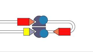 5 1 VDJ Recombination [upl. by Ednalrim]