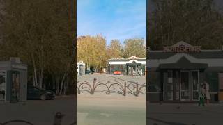 shorts tyumen тюмень [upl. by Ococ]