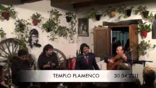 Templo Flamenco Antonio Reyes Con Paco Cepero Bulerias [upl. by Andria]