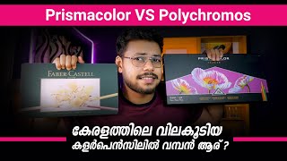 Prismacolor VS Polychromos which is the BEST  Artist Sachin [upl. by Marigolda]