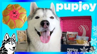 HUSKY WANTS ALL THE TREATS  PUPJOY UNBOXING [upl. by Nared]