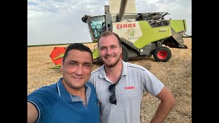 Claas Trion 640 and 2024 Wheat harvest season [upl. by Nivanod272]