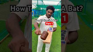 😍 How To Knock A Cricket Bat With Hammer 🏏 PART 1 shorts cricketshorts twocricketer [upl. by Urissa]