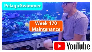 Week 170 Maintenance [upl. by Assenal]