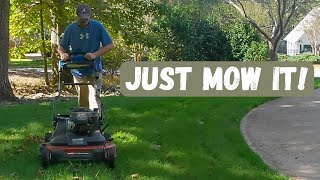 Mowing New Grass  TTTF Pennington Elite Seed First Mow  Toro Timemaster [upl. by Rebhun]