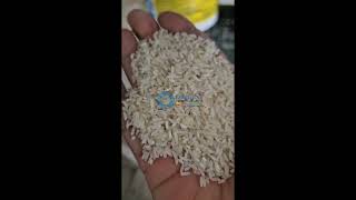 Raw Rice Sorting Machine  Origin Color Sorter [upl. by Dadivitan]