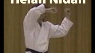 Heian Nidan  Shotokan Karate Kata [upl. by Analra]