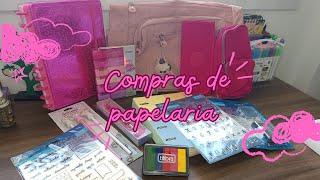 Compras de papelaria acumulada Planner caderno de discos e MAIS [upl. by Ennairb]