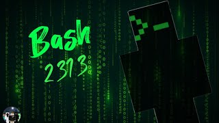 Minecraft Creepypasta  Bash 2313 [upl. by Marlin]