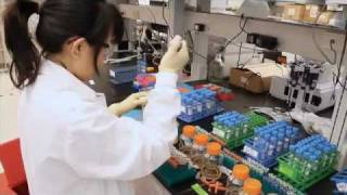 Developing Biologic Drugs [upl. by Tara]