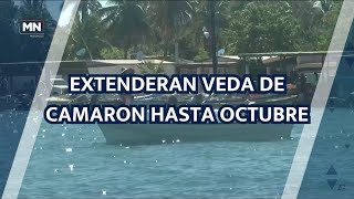 EXTENDERAN VEDA DE CAMARON HASTA OCTUBRE [upl. by Gnem]