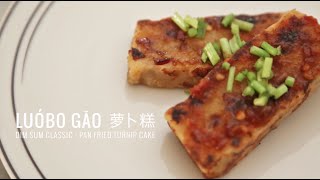 Turnip Cake 萝卜糕 Luóbo Gāo [upl. by Biddie362]