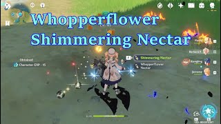 Hot to get Whopperflower Nectar Shimmering Nectar amp Energy Nectar  Genshin Impact [upl. by Halivah]