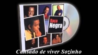 Cansado de Viver Sozinho  Raça Negra [upl. by Hughett]