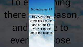 Ecclesiastes 31 GodBlessYou ScriptureInspiration gospel bibleverse bibletruth bibleteaching [upl. by Watanabe620]