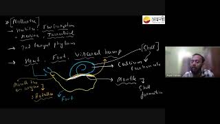 Animal Kingdom  Non Chordata Part 3  11th NEET Biology  20th Nov 2024 [upl. by Niarbo]