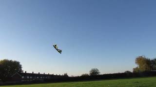 Freilein WindriderII Learn How To Fly a Kite Flying kiting [upl. by Ahsela498]